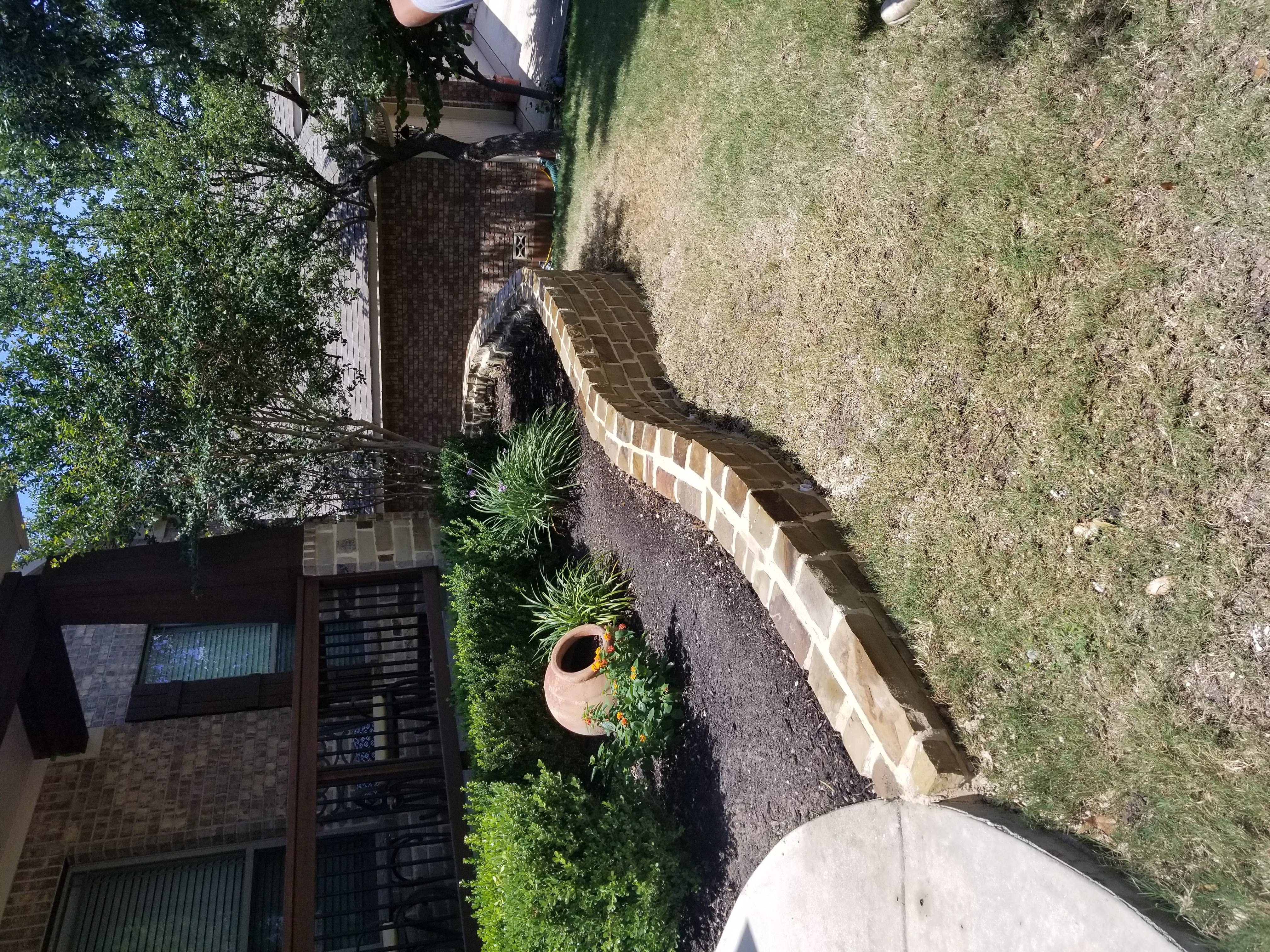 Front Yard